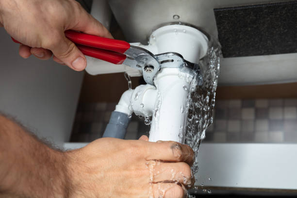 Best Mold removal after water damage  in Compo, CT