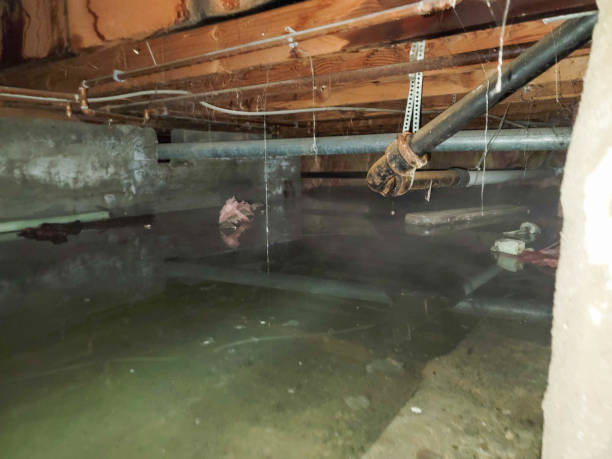 Reliable Compo, CT Water damage restoration Solutions
