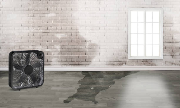 Best Water damage restoration cost  in Compo, CT