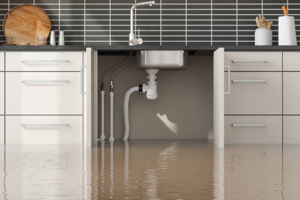 Best Water damage contractors near me  in Compo, CT