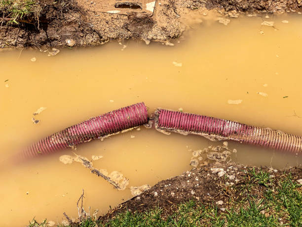 Best Sewage cleanup and water damage restoration  in Compo, CT