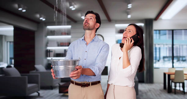 Best Mold removal after water damage  in Compo, CT